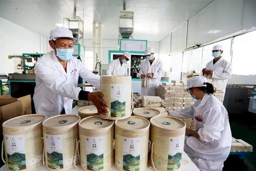 谷香飄萬里，增收靠大米 大額資金如何助力產業騰飛